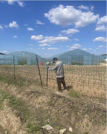 遼寧三友農(nóng)業(yè)生物科技集團(tuán)有限公司勘測定界項目